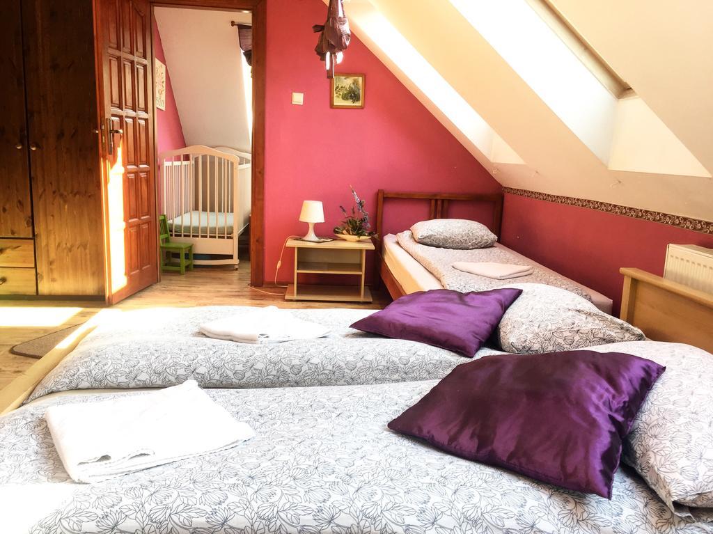 Pensjonat U Alexa Załuski Extérieur photo